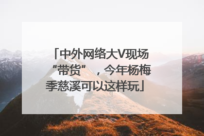 中外网络大V现场“带货”，今年杨梅季慈溪可以这样玩